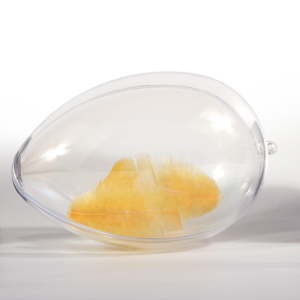 Transparent Egg | saldireklama.lt